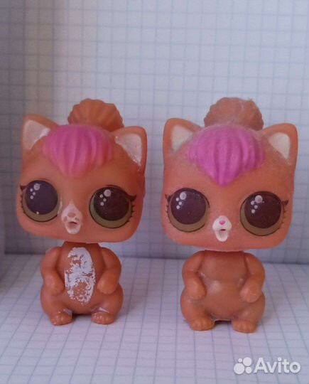 Кошки LOL не оригинал