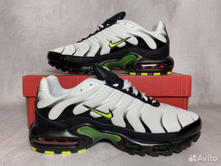 Кроссовки Nike Air Max Tn Plus