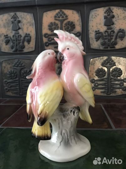 Попугаи Германия 1941-1956