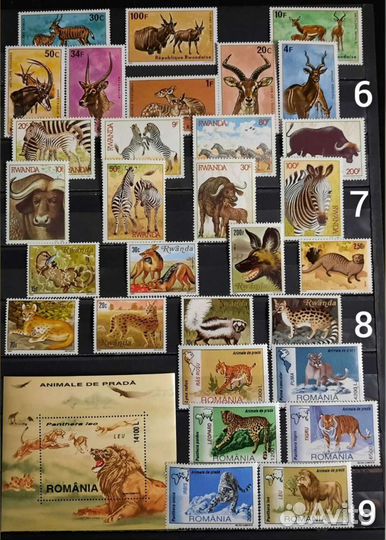 Коллекция Фауна 60-90х 5 (чистые)