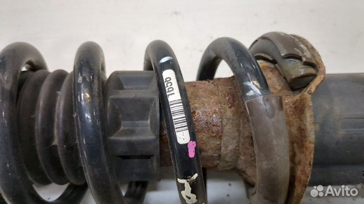 Амортизатор подвески Peugeot 407, 2009