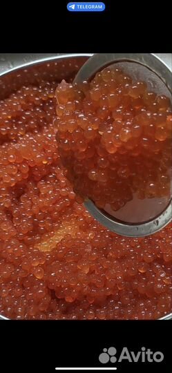 Красная икра опт + розница