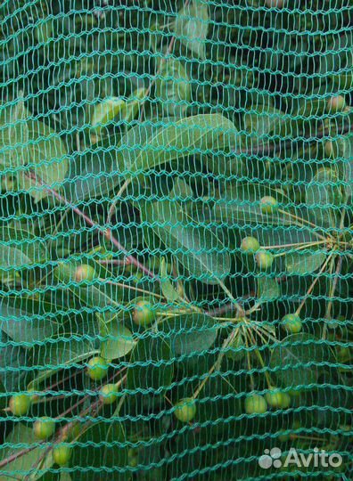 Сетка строительная фасадная зеленая рулон