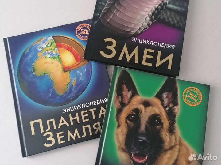 Энциклопедия