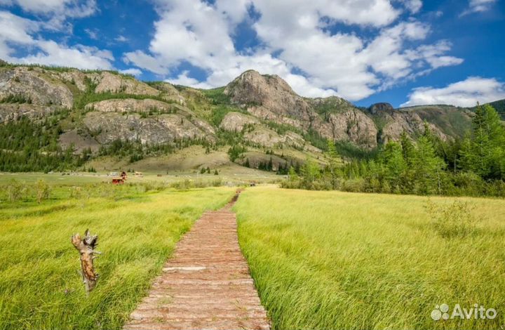 Тур в авторский тур на Алтай 7 дней