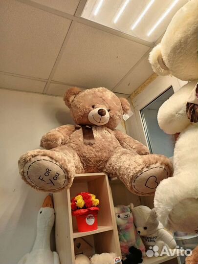 Плюшевый медведь