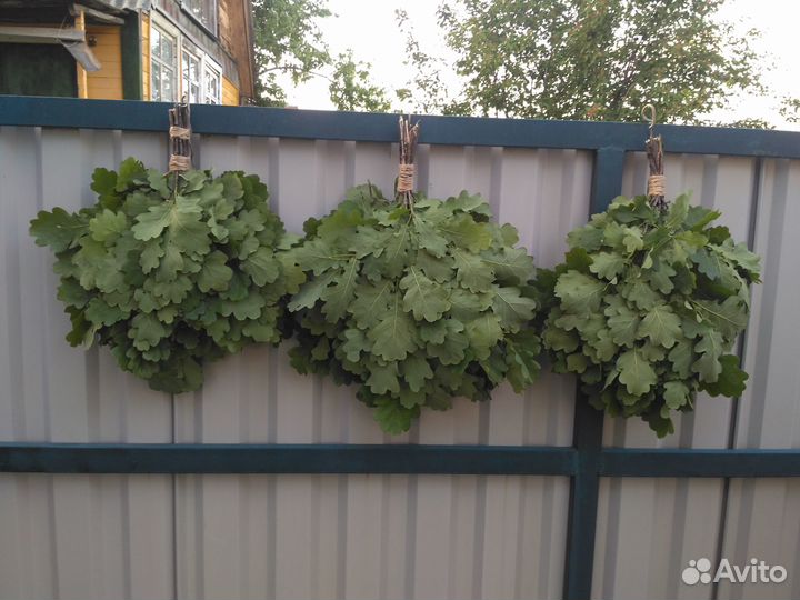 Продам Дубовые веники