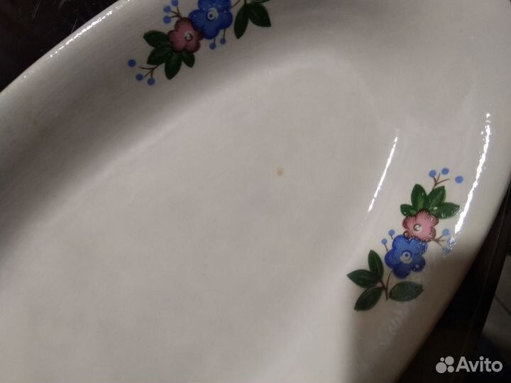 Селедочницы зик