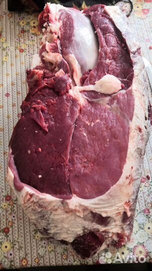 Мясо говядина