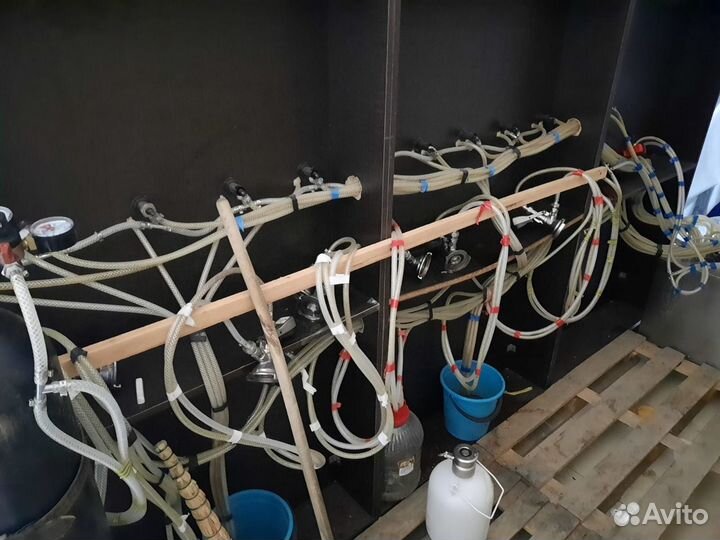 Пивное оборудование на 12 сортов с мебелью