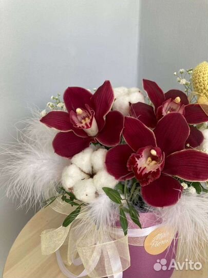 Коробочка с орхидеей, хлопком и гипсофилой