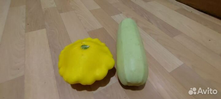 Кабачки и патиссоны домашние