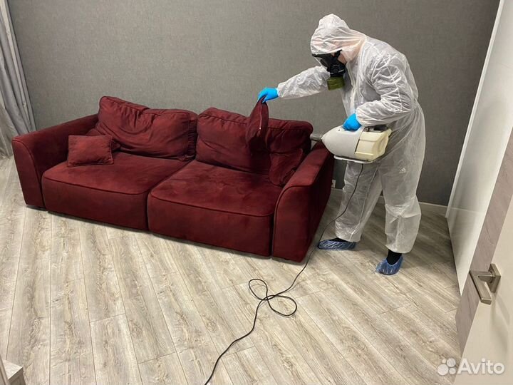 Дезинфекция клопов и тараканов и всех насекомых