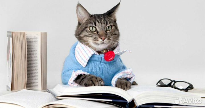 Бухгалтерские услуги по усн (для ип и ооо)