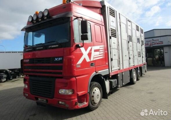 В разборке грузовик DAF,XF 95 2002-2005