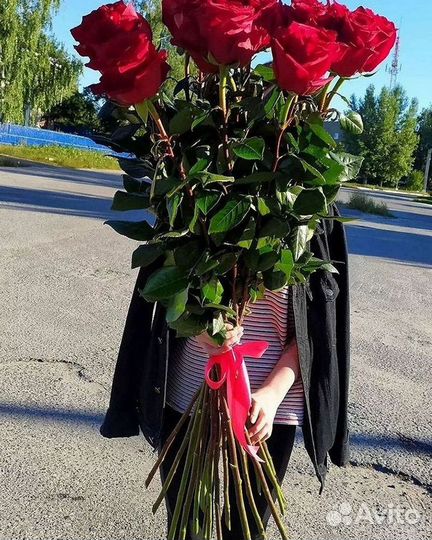 Высокие розы 150 160 170 180 190см доставка Москва