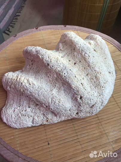 Для аквариума