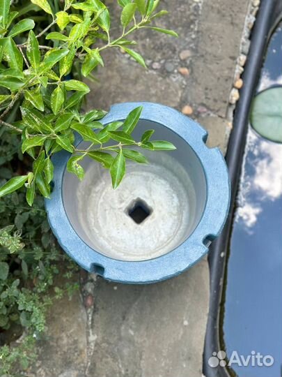 Вазон, кашпо, горшок для цветов из бетона