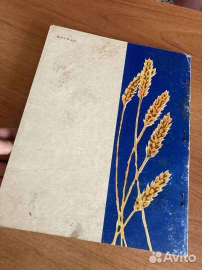 А. Мусатов: Кусок хлеба для младших классов