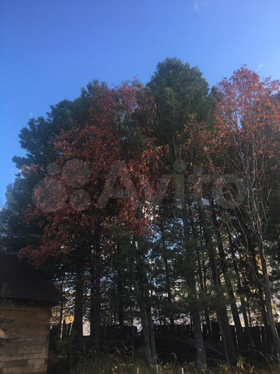 Дача 30 м² на участке 10 га