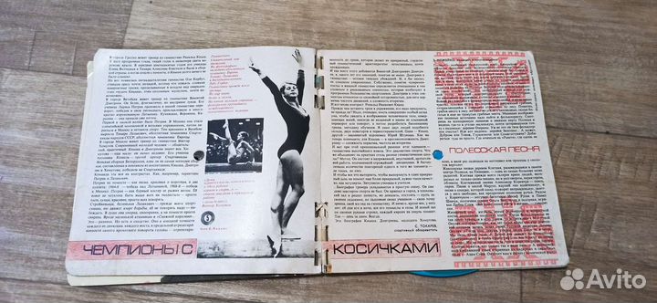 Гибкие пластинки и кругозор с пластинками