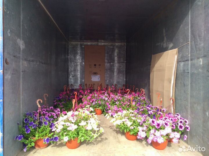 Грузоперевозки