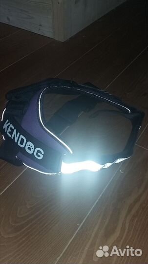 Шлейка, ошейник светящийся