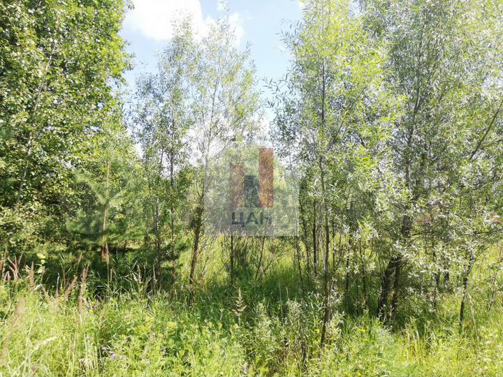 Участок 10 сот. (СНТ, ДНП)