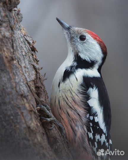 Пряжа ровница для вязания изделий