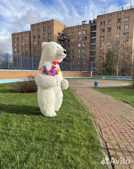 Огромный Медведь поздравление / белый мишка