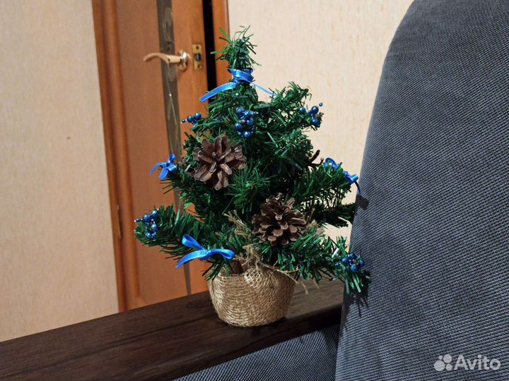 Маленькая ёлочка