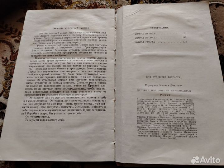 Бульвар под ливнем Михаил Коршунов