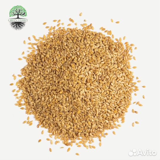 Лен золотистый