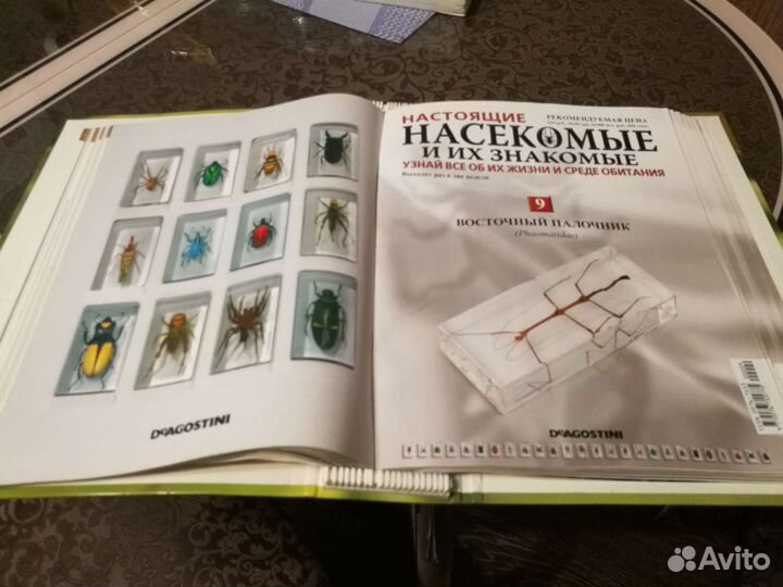 Журнал про насекомых