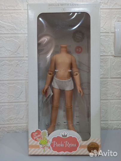 Шарнирное тело Паола Рейна