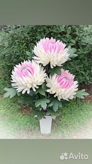 Торшер напольный