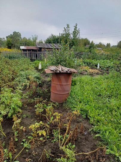 Участок 10 сот. (СНТ, ДНП)