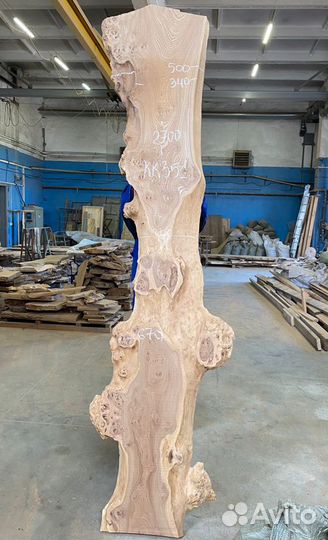 Слэб дерева и спилы