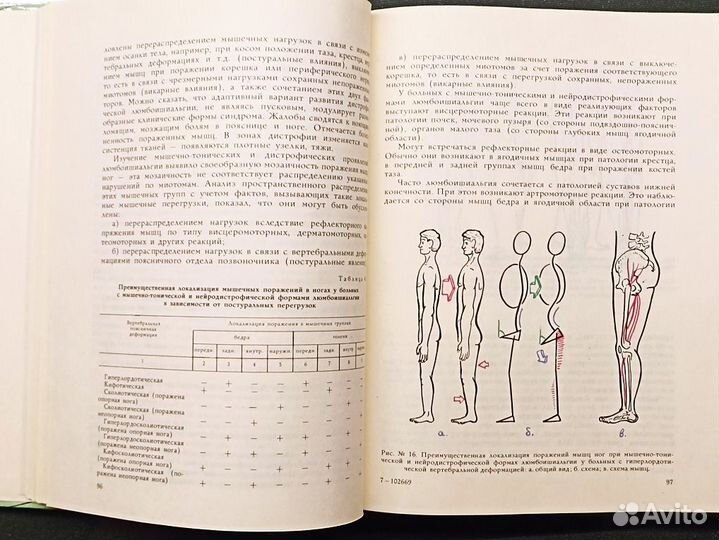 Практическая вертеброневрология и мануальная