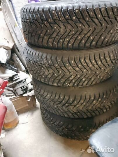 Nokian Tyres Hakkapeliitta 8 205/65 R15