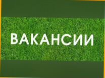 Оператор линии Вахта Еженедельные выплаты Жилье/Ед