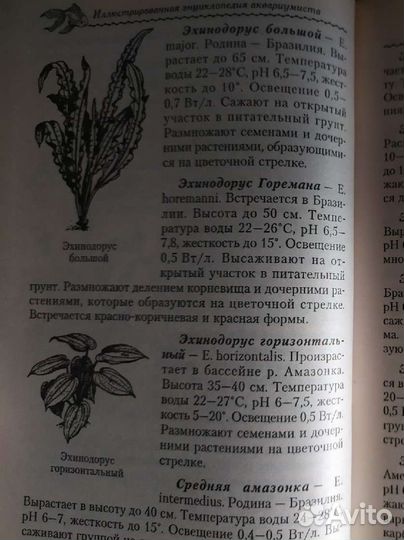 Энциклопедия аквариумиста