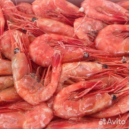 Креветка северная оптом в Москве и Зеленограде