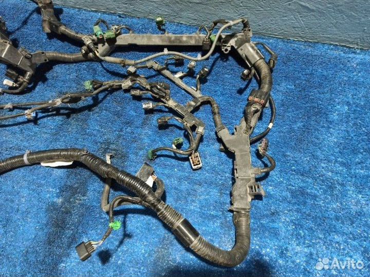 Проводка двигателя Honda Crosstour