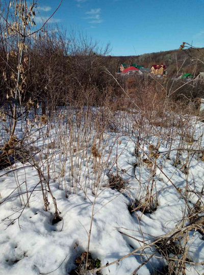 Участок 25 сот. (ИЖС)