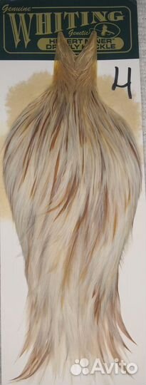 Перья Whiting cape. Нахлыст