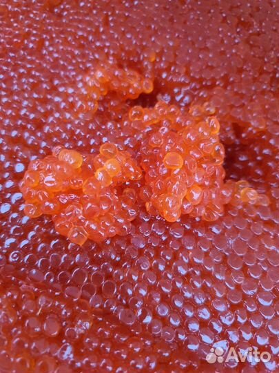 Икра красная (Горбуша, Кета) Камчатская