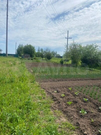 Участок 4 сот. (СНТ, ДНП)