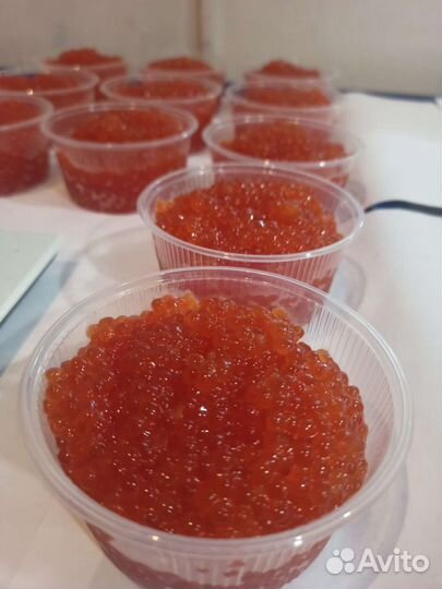 Красная икра горбуши 2023 год