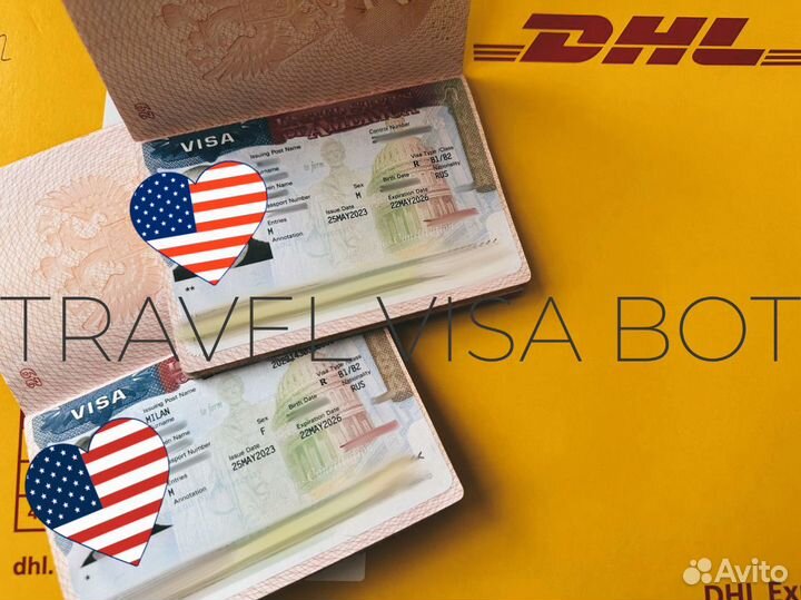 Оформление Визы США, Шенген, Бот На Визу США